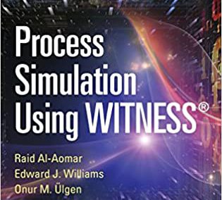 Process simulation using Witness software to model and optimize industrial operations.