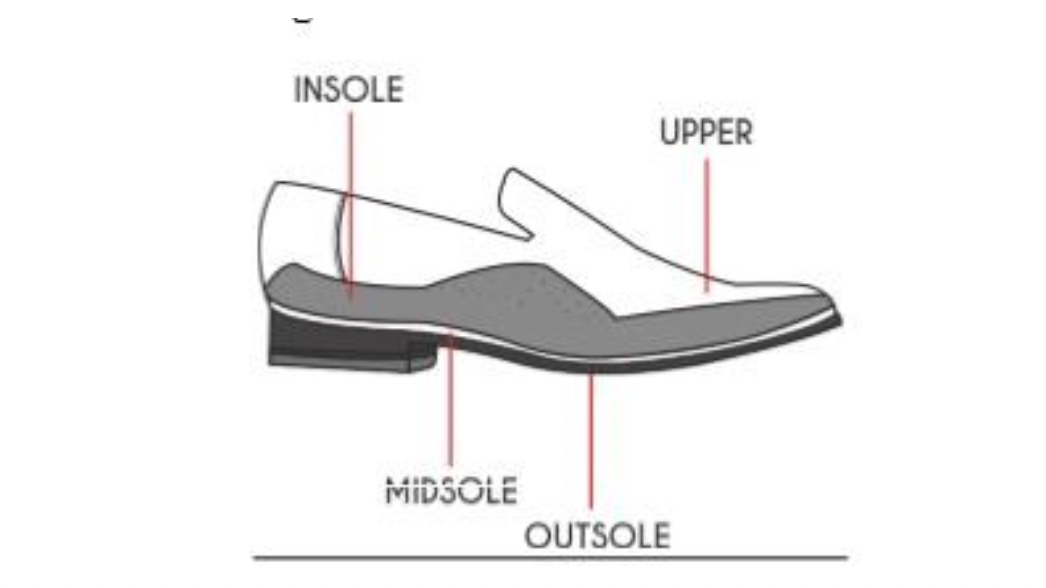 Basic Components of a Shoe 